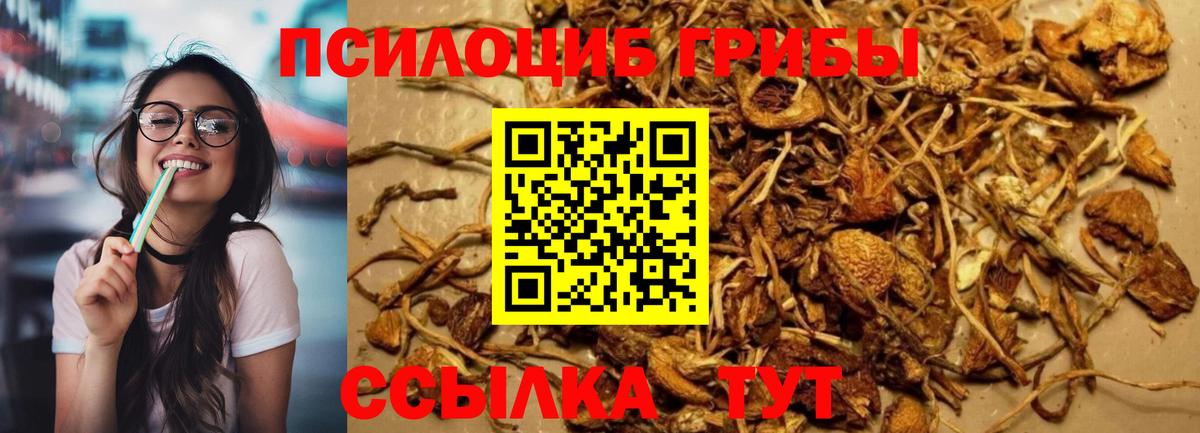 Галлюциногенные грибы ЛСД Зеленогорск