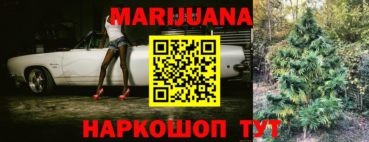 Бошки Шишки планчик Зеленогорск